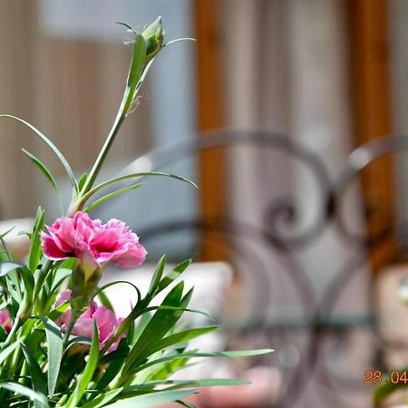 Princess Apartment Sandanski Ngoại thất bức ảnh